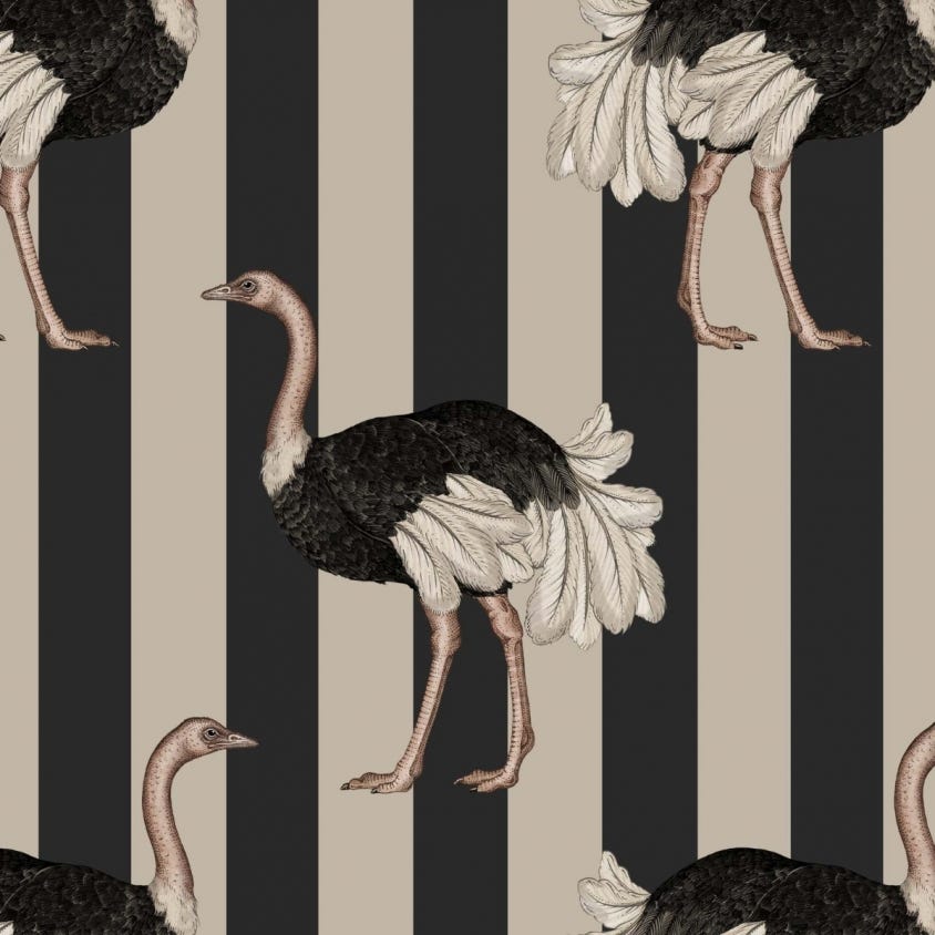 PRIDE Wallpaper - Clay & Off-Black - House of Hackney