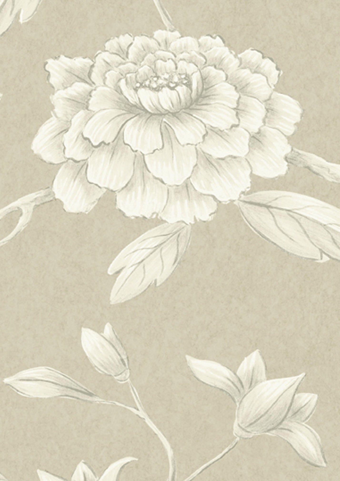 Jasper Peony Wallpaper - Cream - Lewis & Wood