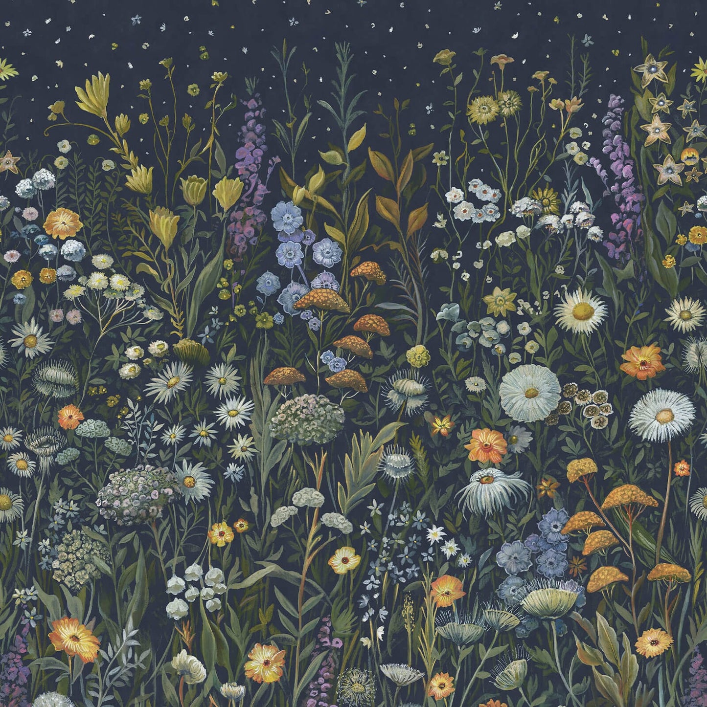 Prataria Wallpaper - Galaxias - House of Hackney