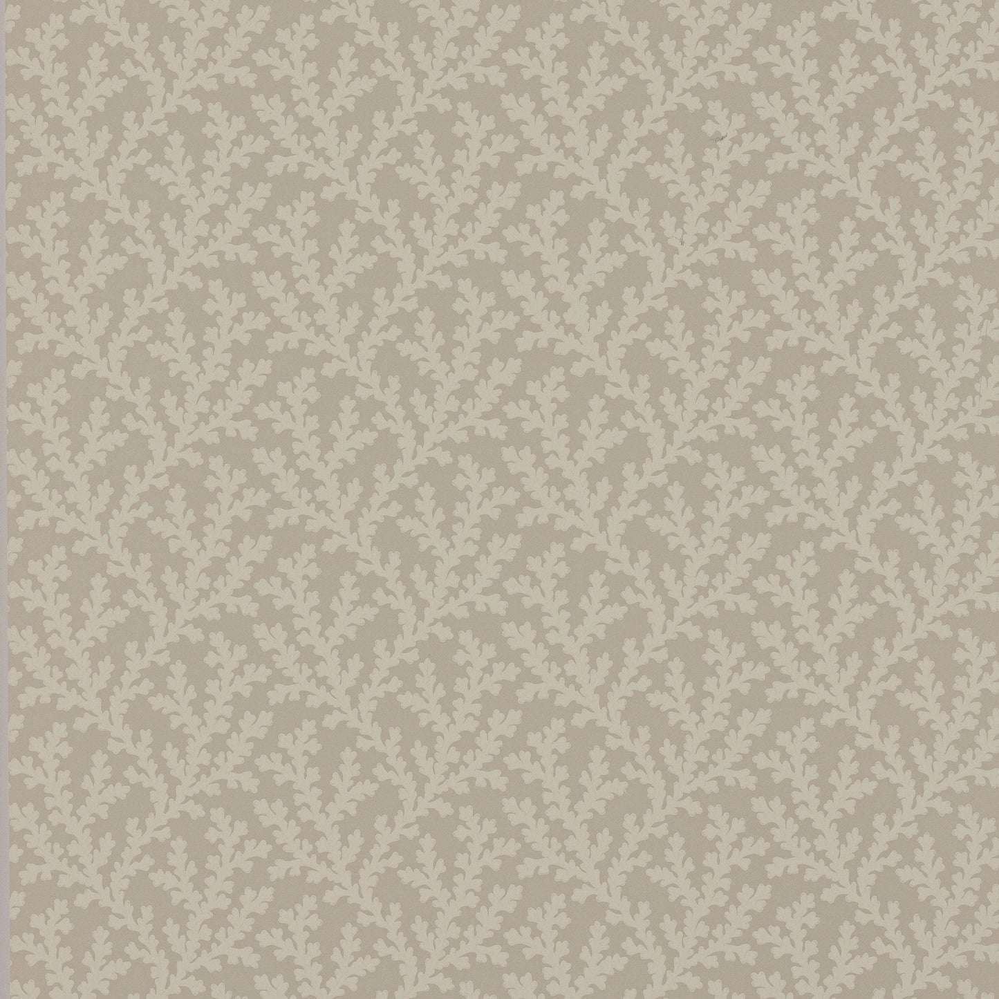Sea Coral Wallpaper - Beige - Colefax & Fowler
