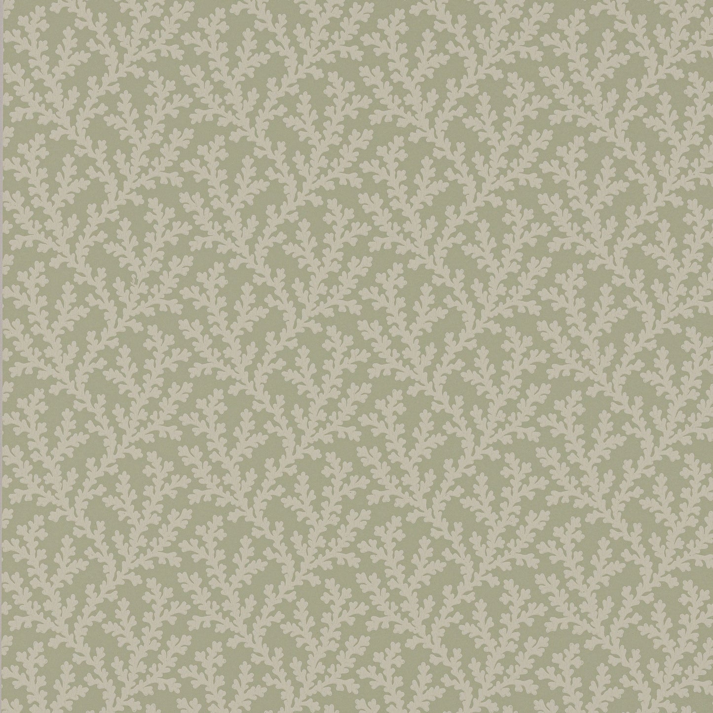 Sea Coral Wallpaper - Willow - Colefax & Fowler