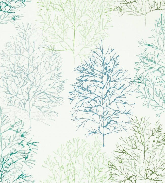 Soetsu Wallpaper - Kiwi / Slate - NZAW112002 - Scion