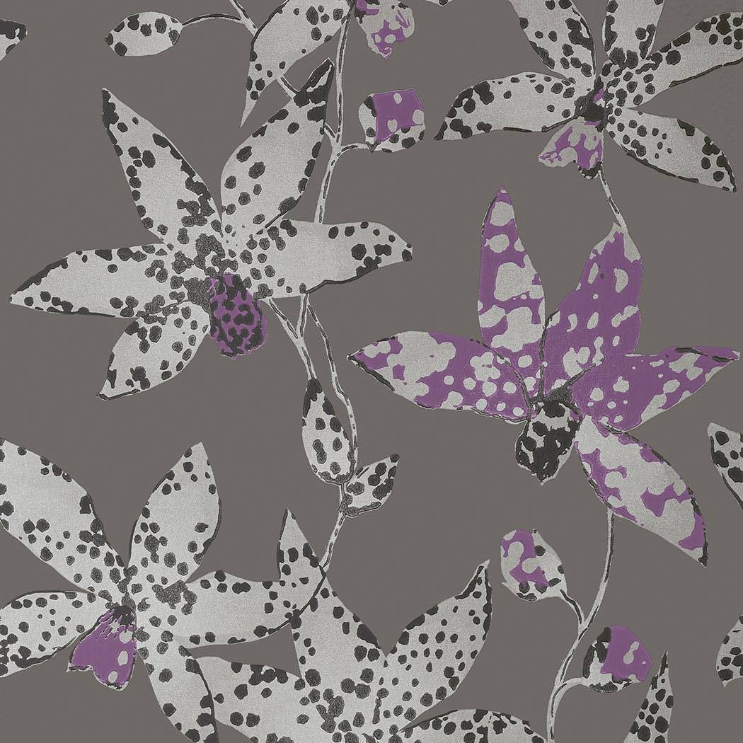 Spotted Orchid Wallpaper - Silver on Charcoal - AT6047 - Anna French