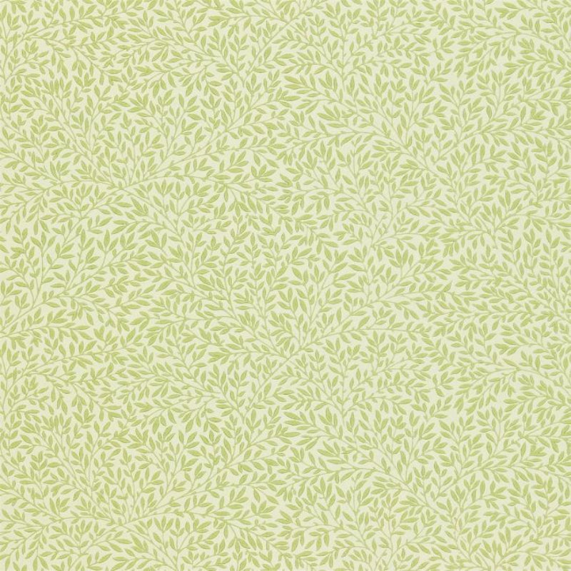 Standen Wallpaper - Fennel - 216833 - Morris & Co