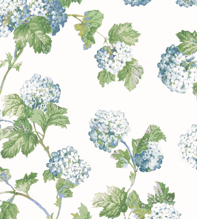 Sussex Hydrangea Wallpaper - Blue and Green - AT57846 - Anna French