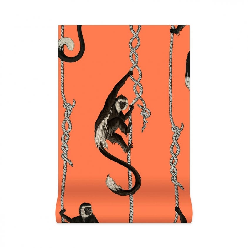 TROOP Wallpaper - Salamander-Orange - House of Hackney
