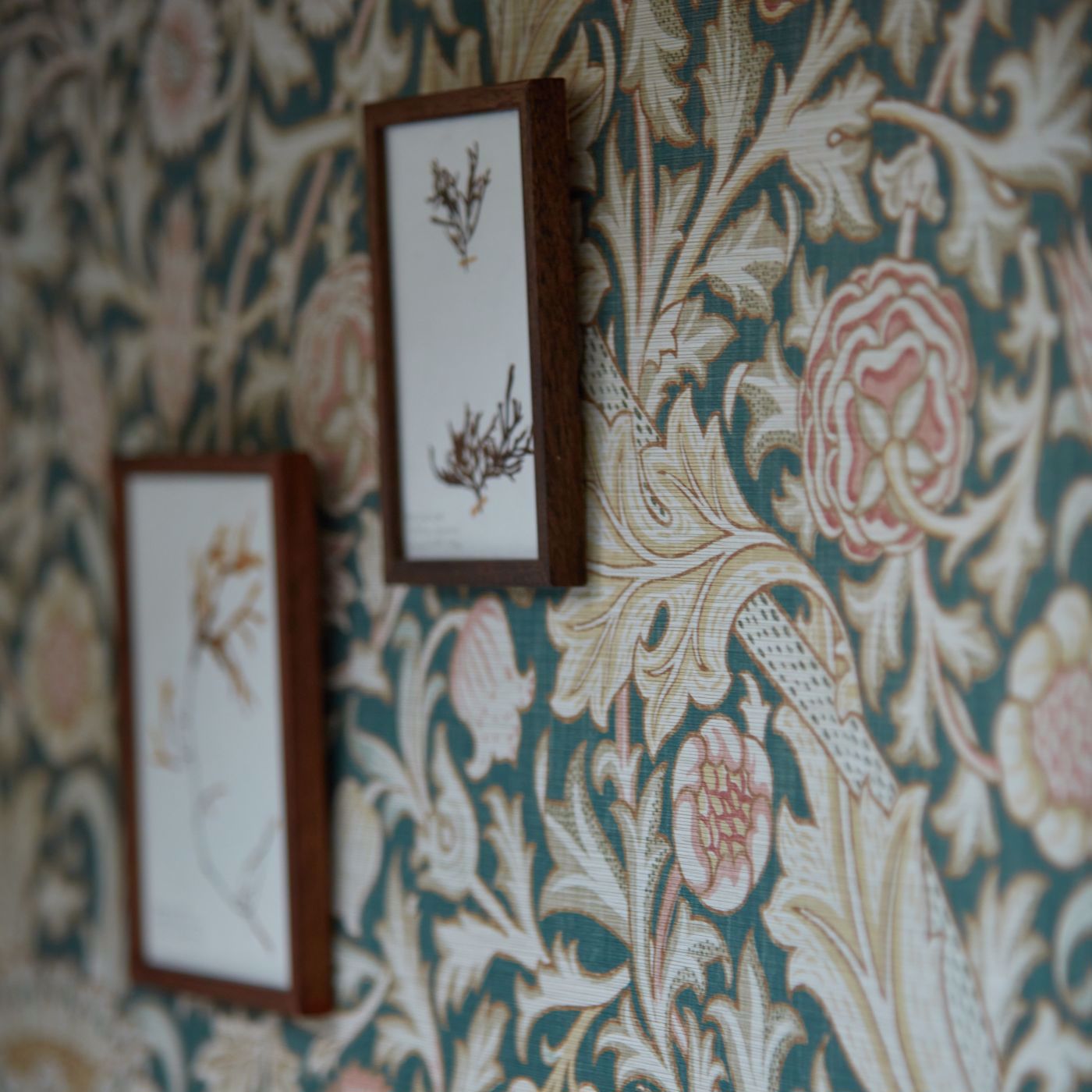 Trent Wallpaper - River Wandle - 217210 - Morris & Co