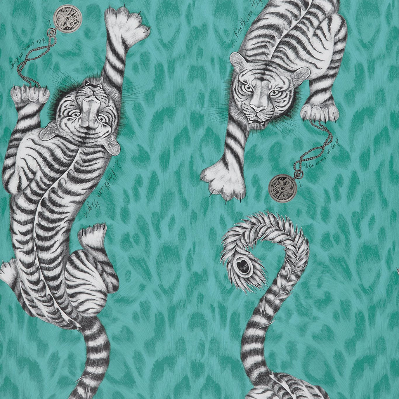 Tigris Wallpaper