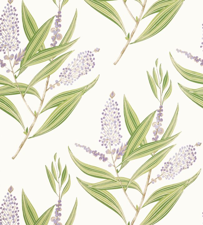 Winter Bud Wallpaper - Lavender - AT23134 - Anna French