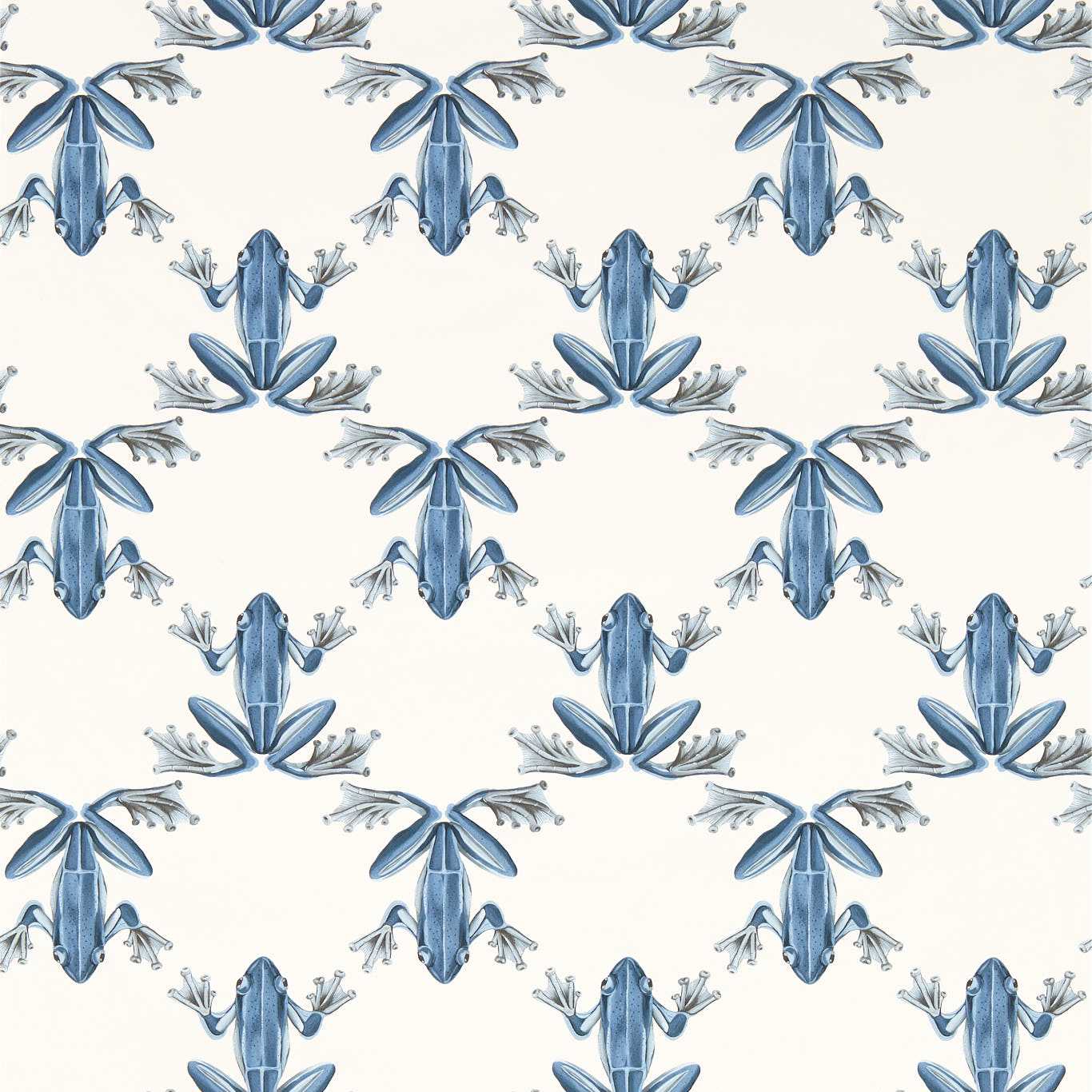 Wood Frog Wallpaper - Wild Water/Chalk - HC4W113012 - Harlequin