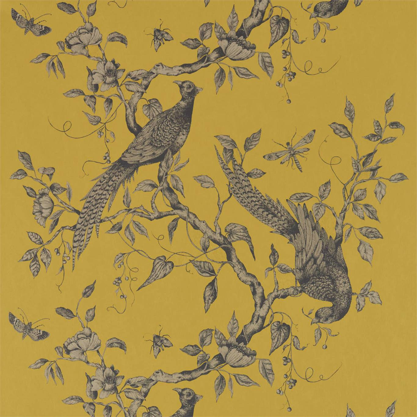 Darnley Wallpaper - Dove - ZDAR312849 - Zoffany