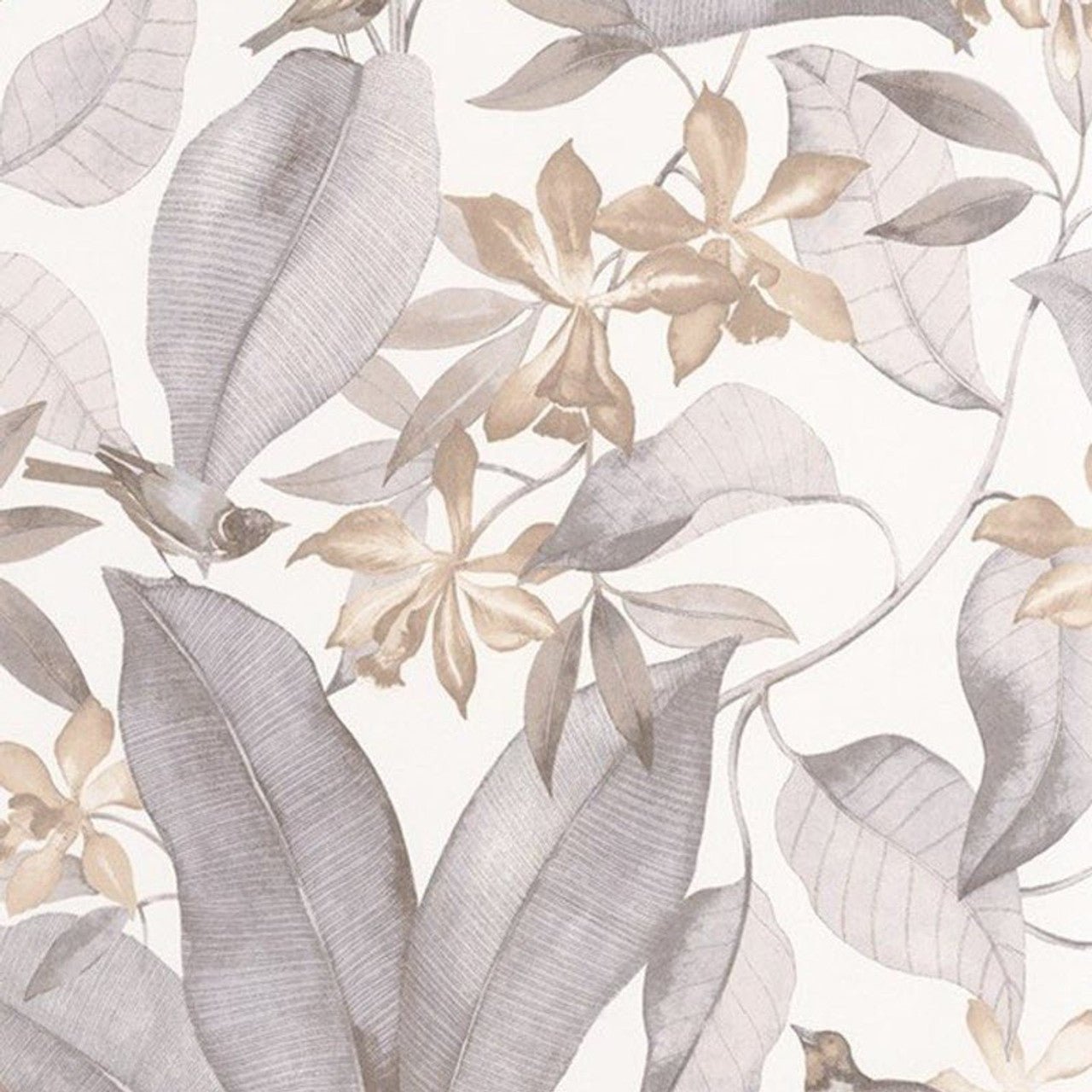 Birdsong Delicacy Wallpaper - Taupe And Gris - Casadeco - 85389242 - Premier Wallcovering