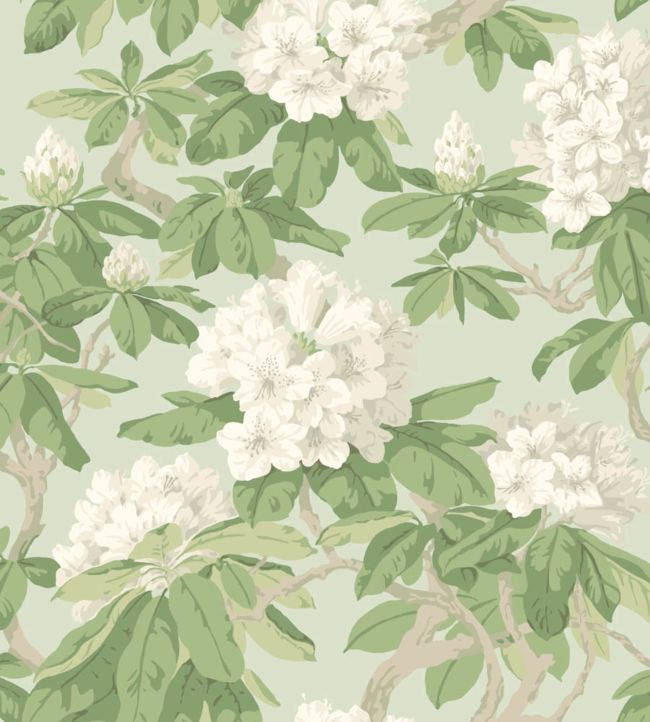 Bourlie Wallpaper - White, Olive Green on Duck Egg - 99/4022 - Cole & Son - Premier Wallcovering