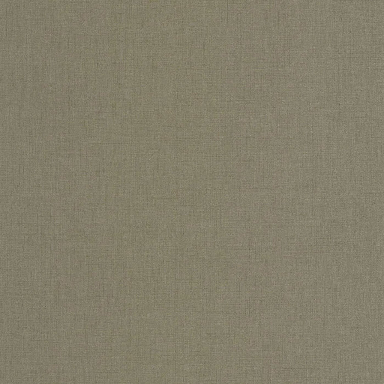 Caractere Wallpaper - Gris Elephant - Casadeco - 201179338 - Premier Wallcovering