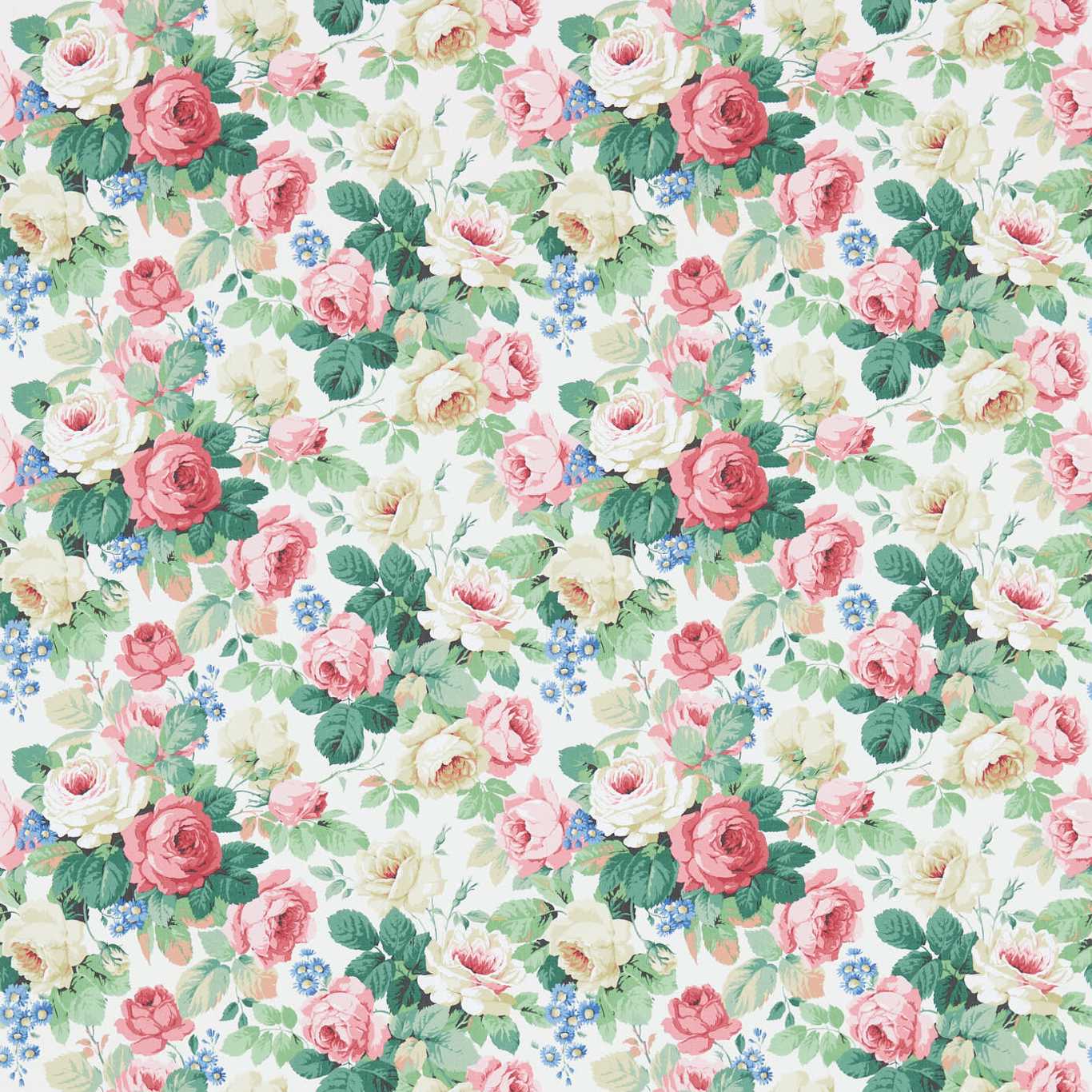 Chelsea Wallpaper - White/Pink - DVIN214606 - Sanderson