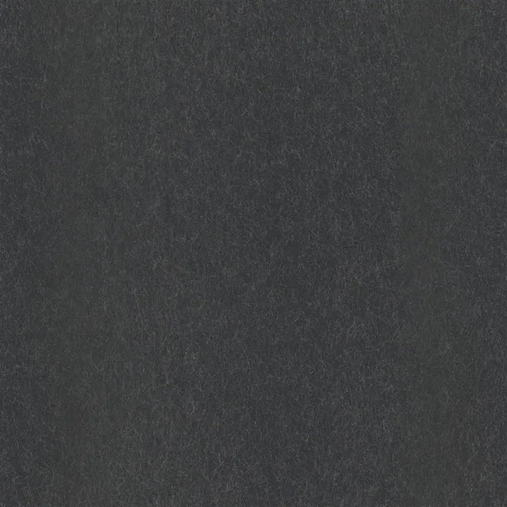 Ernani Wallpaper - Charcoal - P502/70 - Designers Guild