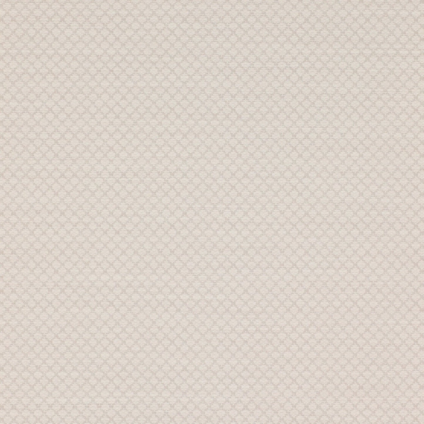 Esther Wallpaper - Silver - Colefax & Fowler - 07183/06