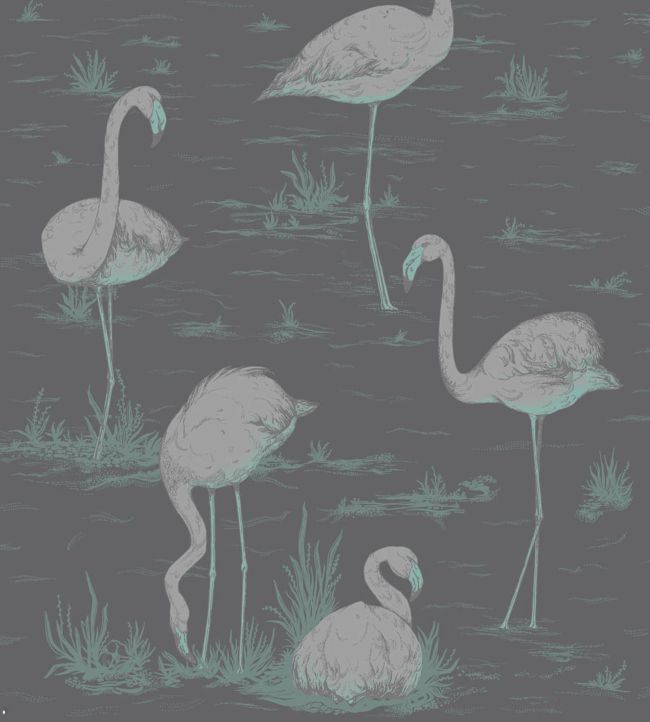 Flamingos Wallpaper - Metallic Silver & Teal on Charcoal - 95/8048 - Cole & Son - Premier Wallcovering