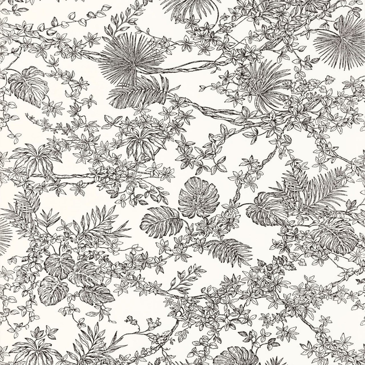 Jardin Des Plantes Les Belles Toiles De Jouy Wallpaper - Noir Fusain - Casadeco - 87959620 - Premier Wallcovering