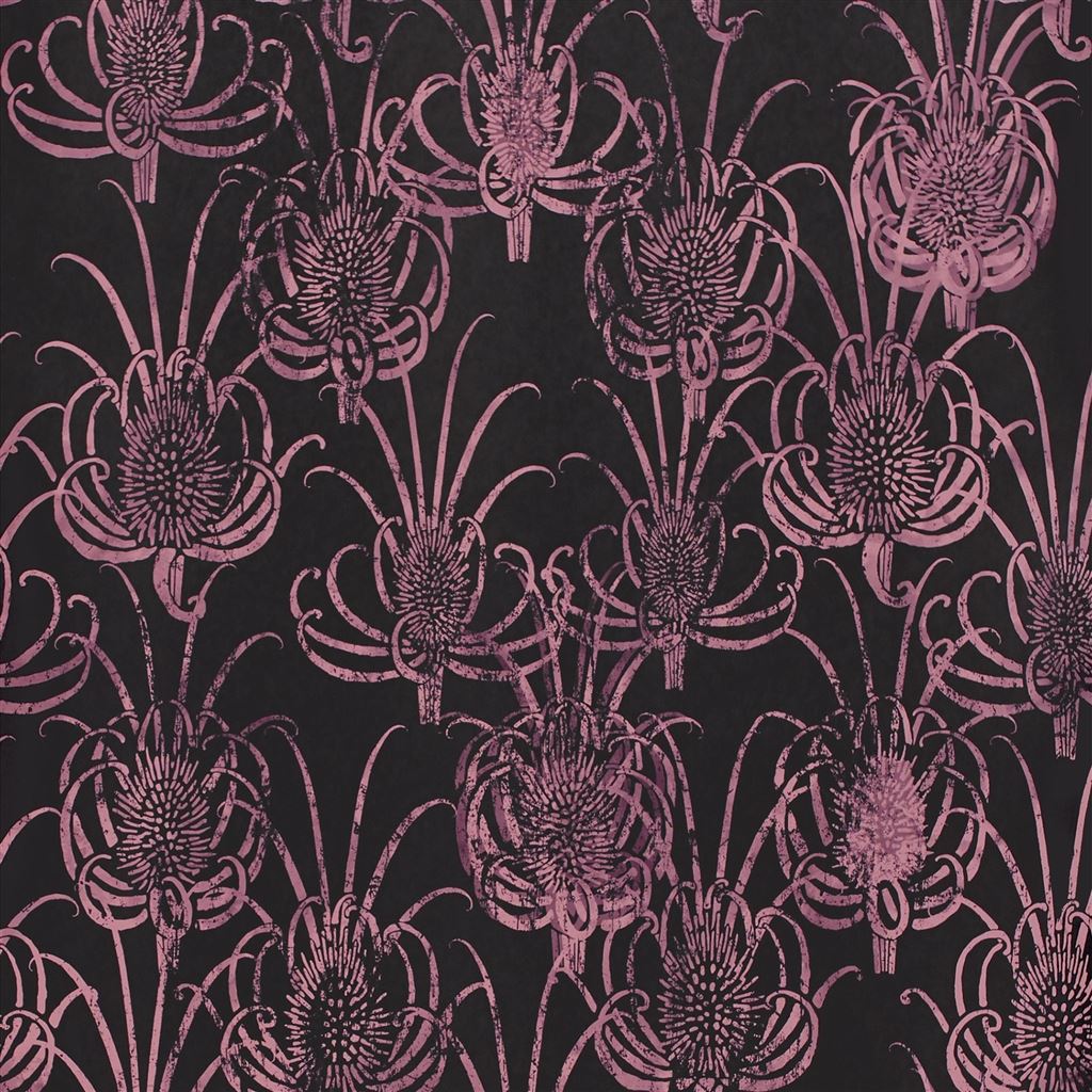 Les Centaurees Wallpaper