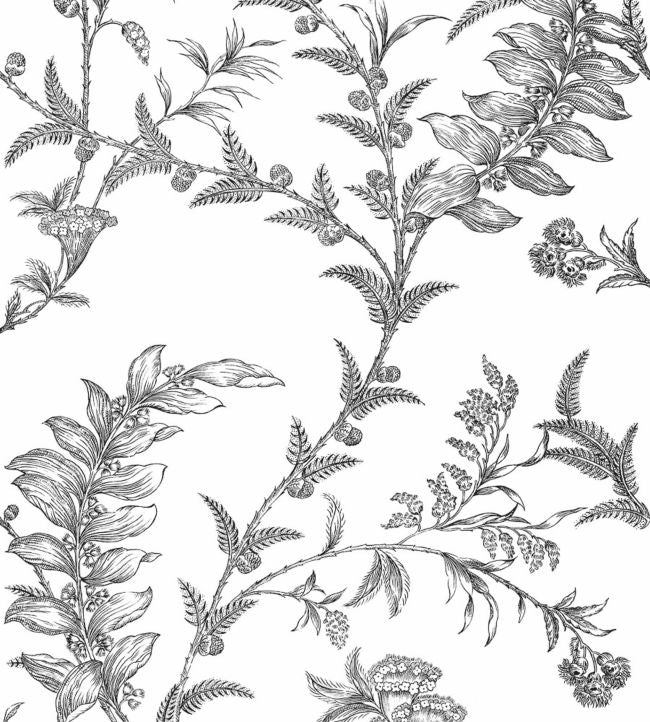 Ludlow Wallpaper - Black on White - 88/1005 - Cole & Son - Premier Wallcovering