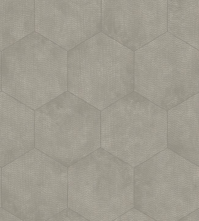 Mineral Wallpaper - Metallic Silver on Grey - 107/6030 - Cole & Son - Premier Wallcovering