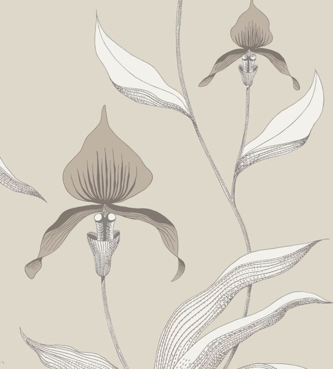 Orchid Wallpaper - Taupe & Parchment on Linen - 95/10058 - Cole & Son - Premier Wallcovering