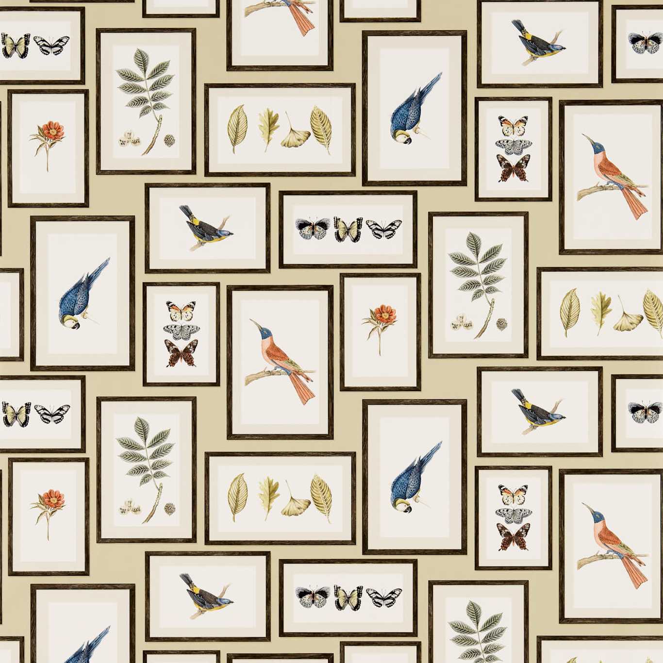 Picture Gallery Wallpaper - Aqua/Multi - DVOY213400 - Sanderson
