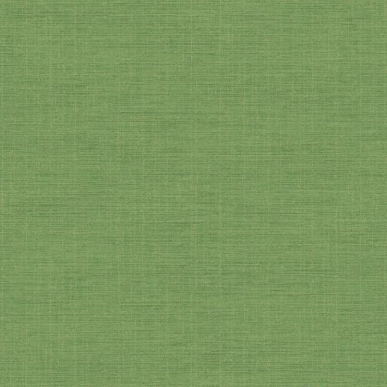 Plain Five O'Clock Wallpaper - Vert Tropical - Casadeco - 85847394 - Premier Wallcovering