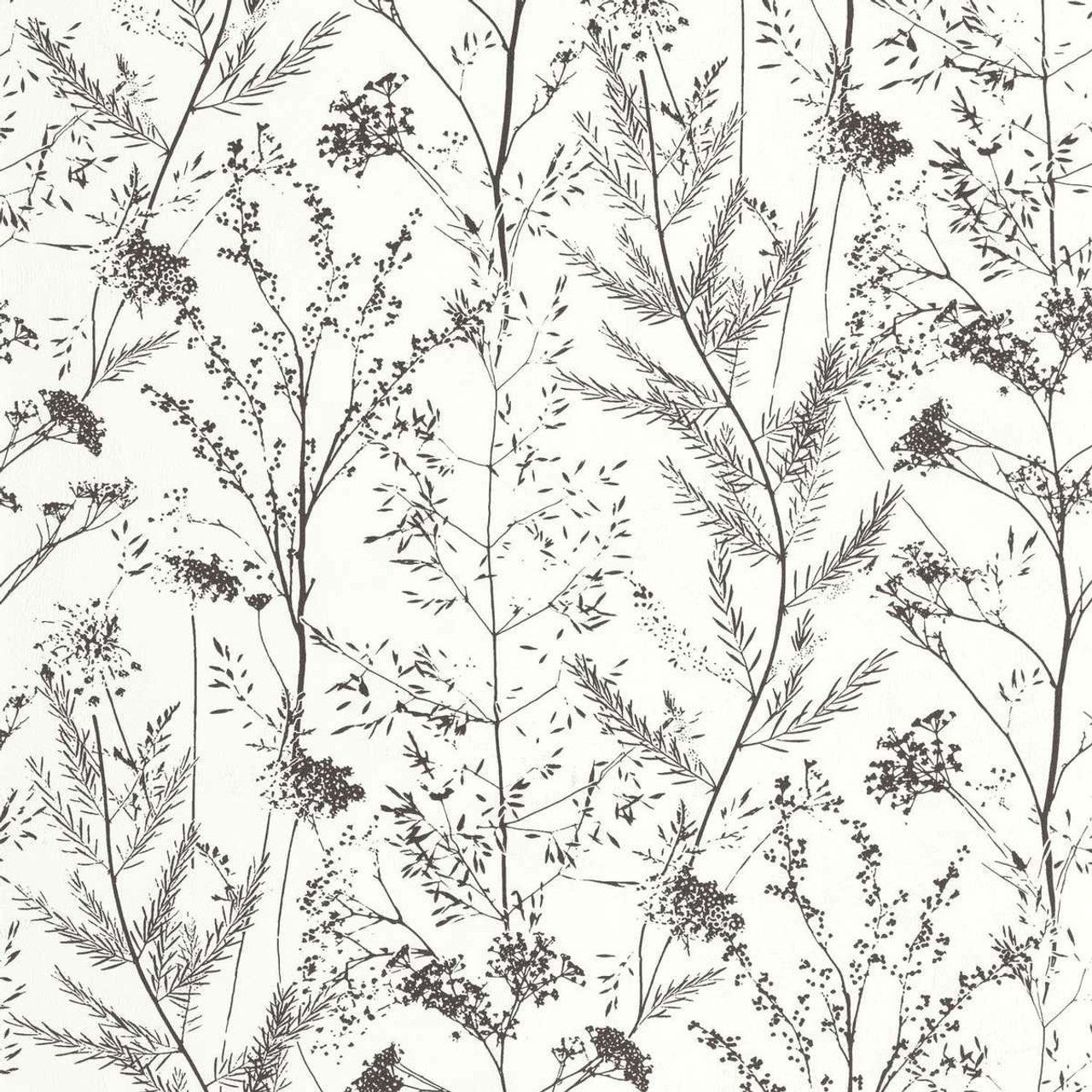 Prairie Sentier Des Dunes Wallpaper - Reglisse - Casadeco - 200959310 - Premier Wallcovering