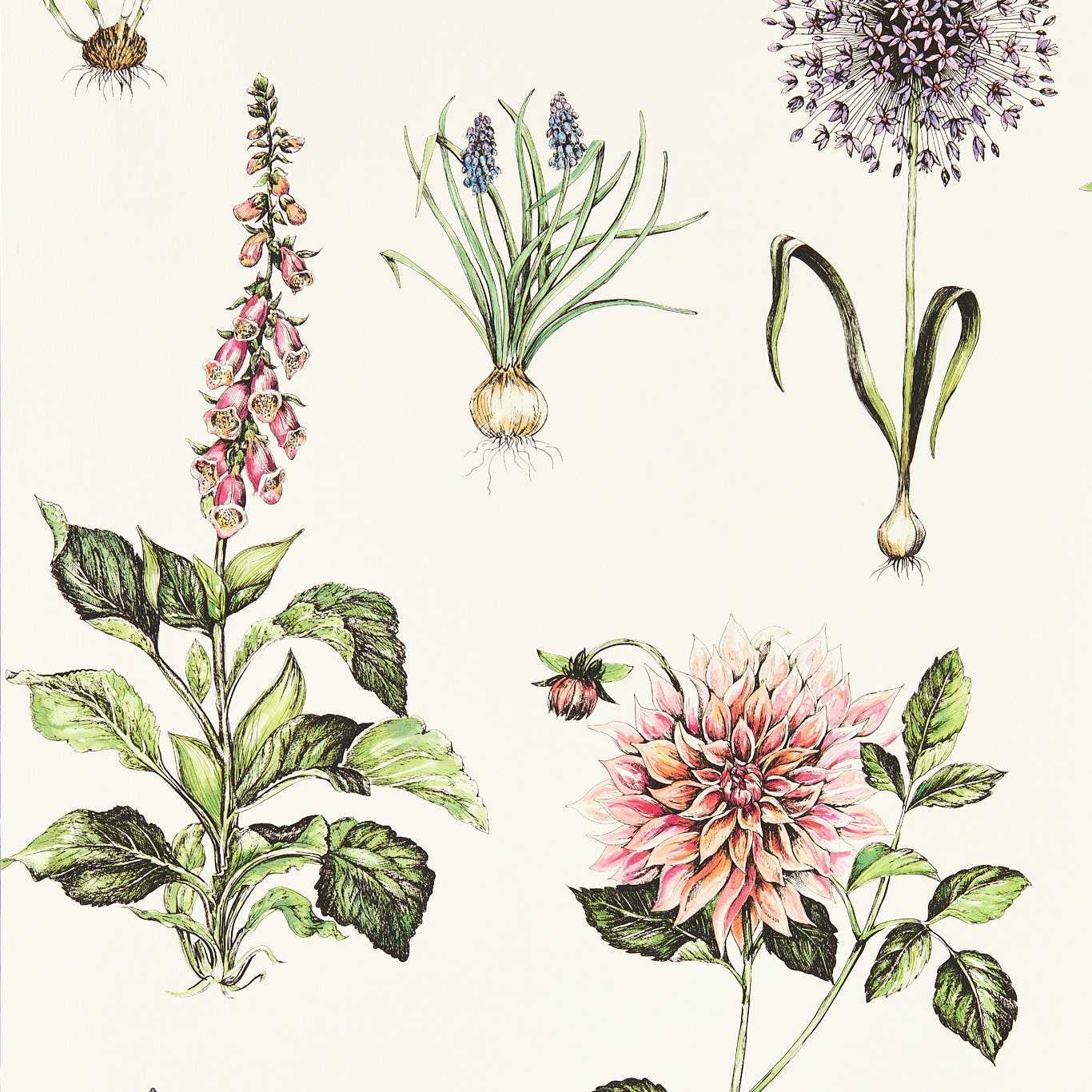 Roseraie Wallpaper - Summer - Clarke & Clarke - W0197/05 - Premier Wallcovering