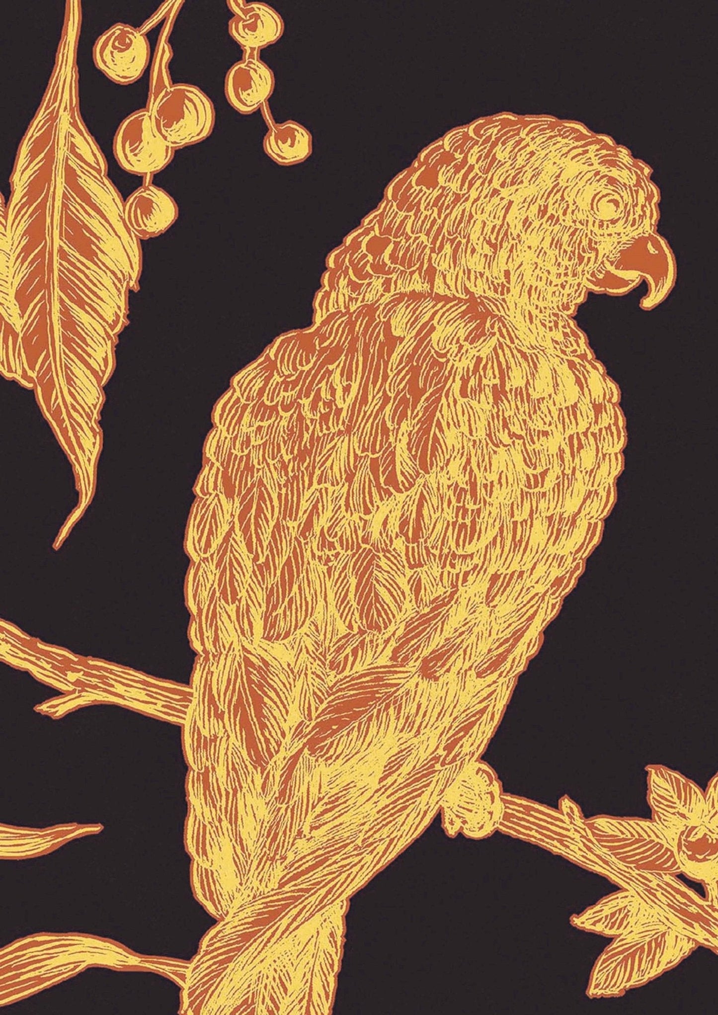 Squawk Wallpaper - Ink - Lewis & Wood - Premier Wallcovering