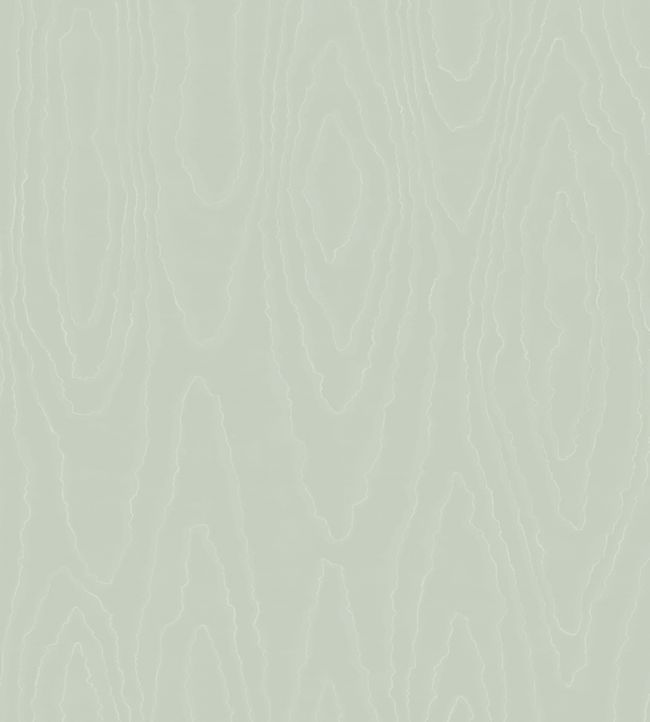 Watered Silk Wallpaper - Mica Duck Egg - 106/1013 - Cole & Son - Premier Wallcovering