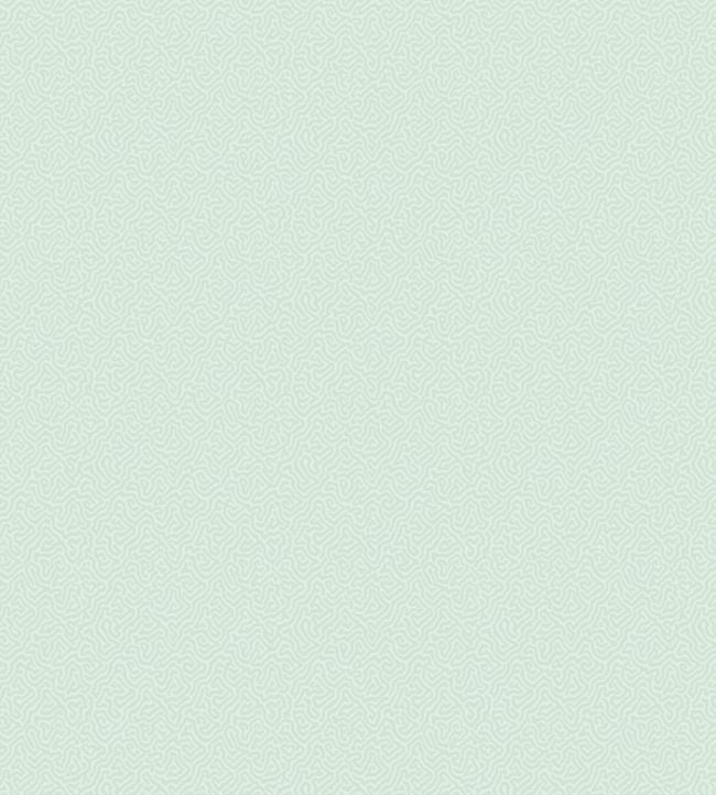 Coral Wallpaper - Teal - Cole & Son