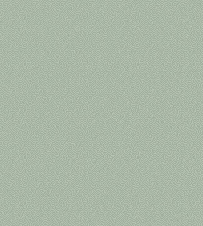 Coral Wallpaper - Green - Cole & Son
