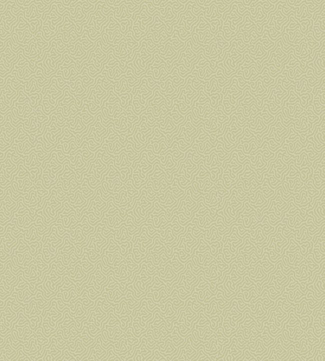 Coral Wallpaper - Sand - Cole & Son