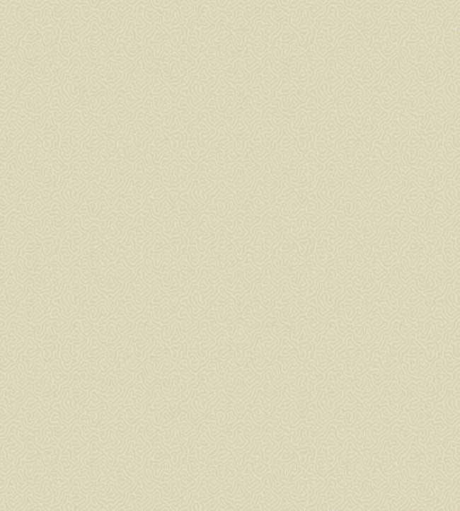 Coral Wallpaper - Cream - Cole & Son