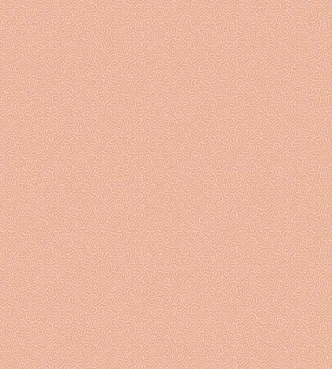 Coral Wallpaper - Pink - Cole & Son