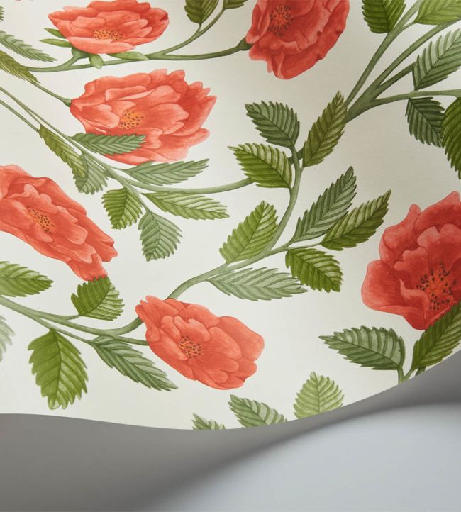 Hampton Roses Wallpaper - Red - Cole & Son