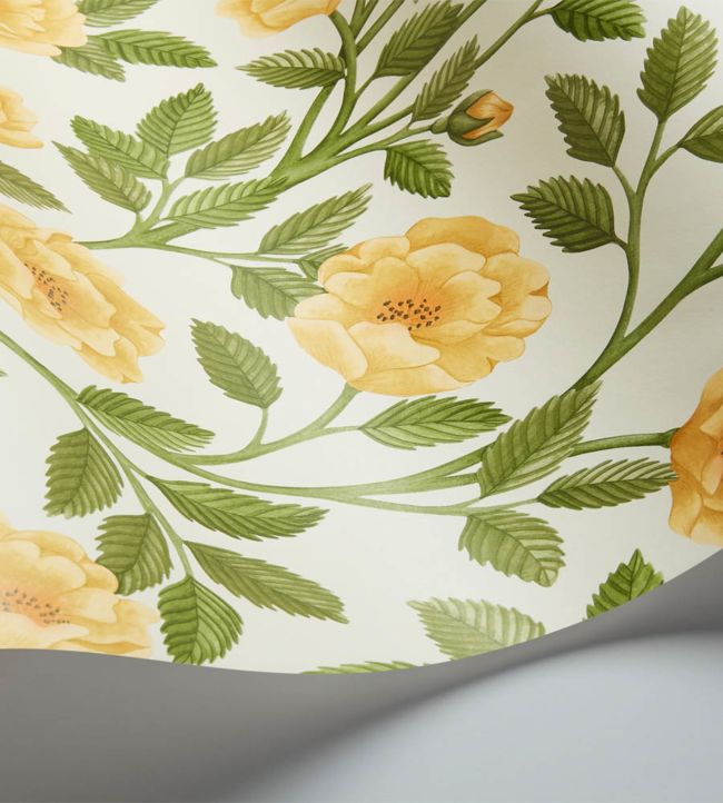 Hampton Roses Wallpaper - Yellow - Cole & Son