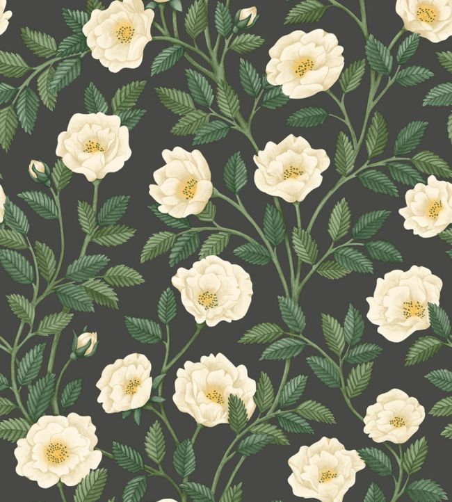 Hampton Roses Wallpaper - Green - Cole & Son