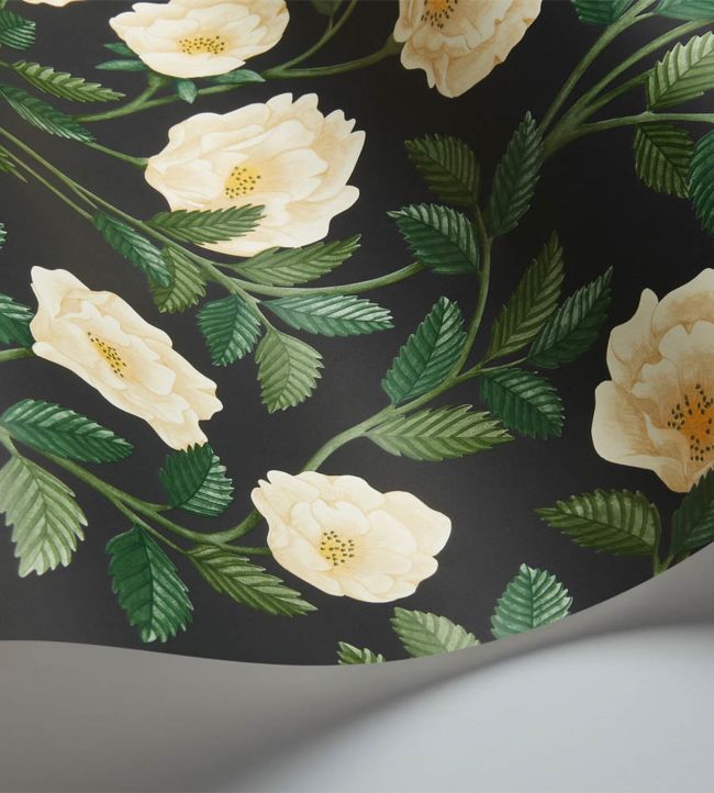 Hampton Roses Wallpaper - Green - Cole & Son