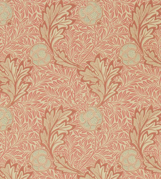 Apple Wallpaper - Pink