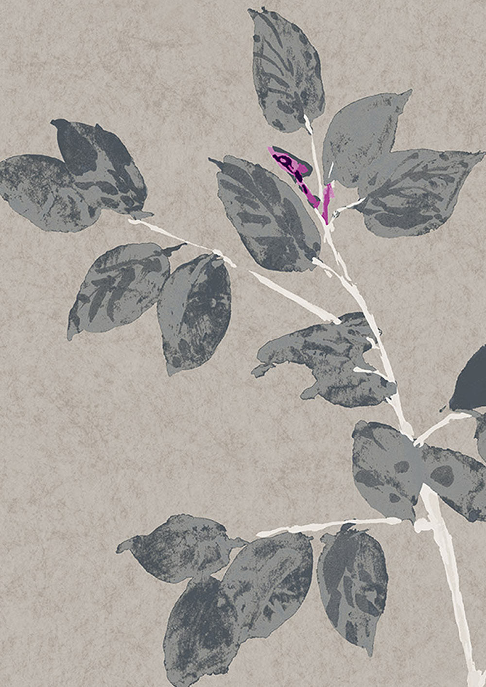 Beech Wallpaper - Gray - Lewis & Wood
