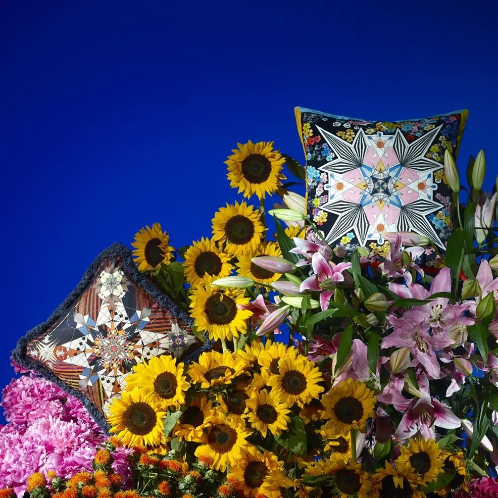 Do You Speak Lacroix? Multicolore Room Cushion