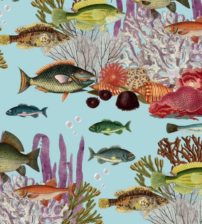 Corales Wallpaper - Teal - Gaston y Daniela