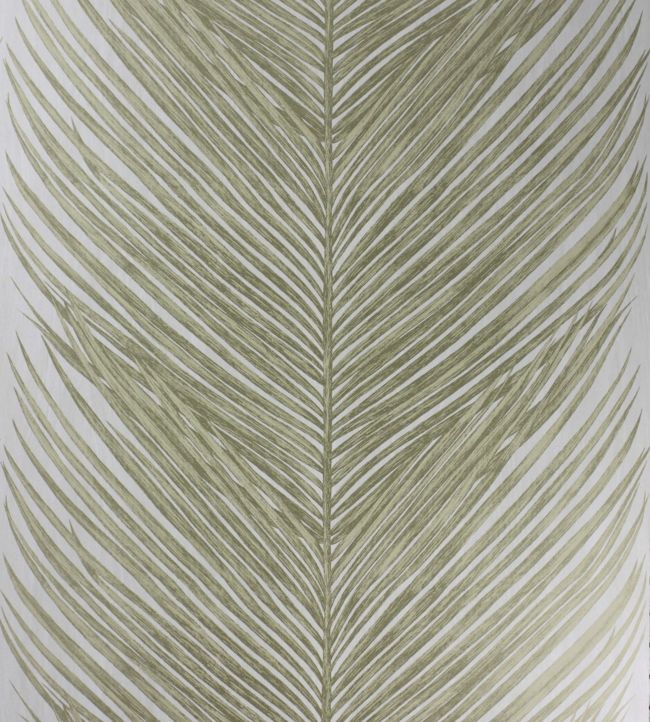 Mey Fern Wallpaper - Green