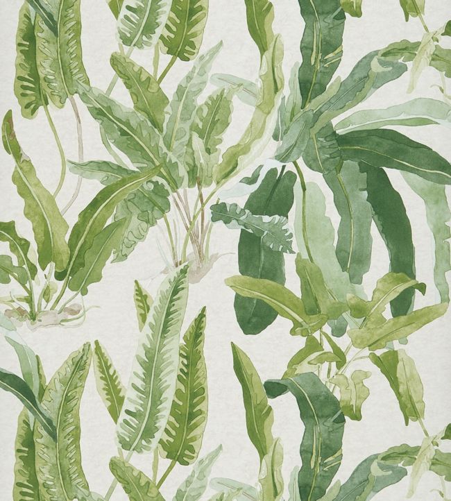 Benmore Wallpaper - Green