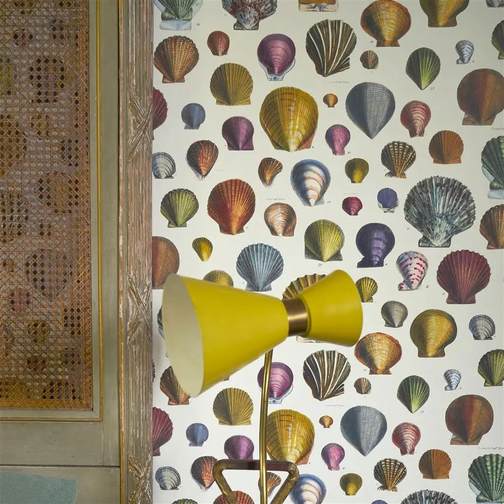 Captain Thomas Browns Shells Room Wallpaper - Sand