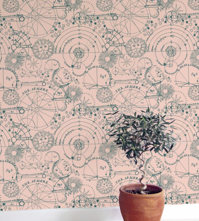 Stargazer Room Wallpaper - Pink